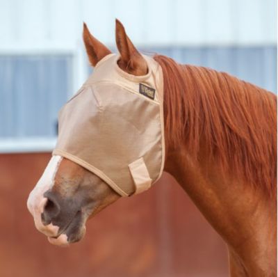 Troxel Spirit All-Purpose Equestrian Helmet