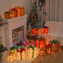 Lighted Up Outdoor Christmas Decorations