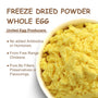 Orgnisulmte Whole Egg Powder, Fresh Pasteurized Egg Powder 8 Oz