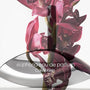 Euphoria Perfume By Calvin Klein for Women 3.3 oz