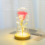 Eternal Rose Flowers LED Light In Glass