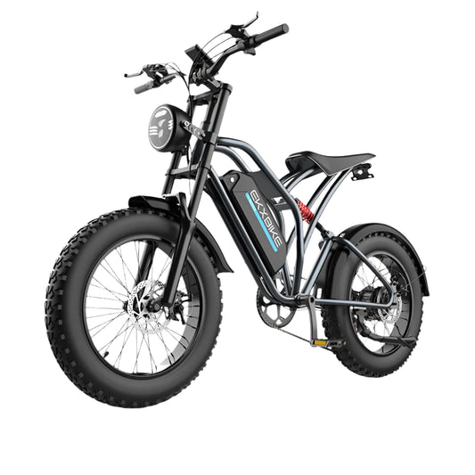 EKX T1 Electric Bicycle 20*4.0 Fat Tire 1000W Motor 48V20AH Lithium Battery Road Electric Bike Adults Waterproof Mountain EBike