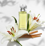 Eternity Perfume By Calvin Klein for Women 3.3 oz
